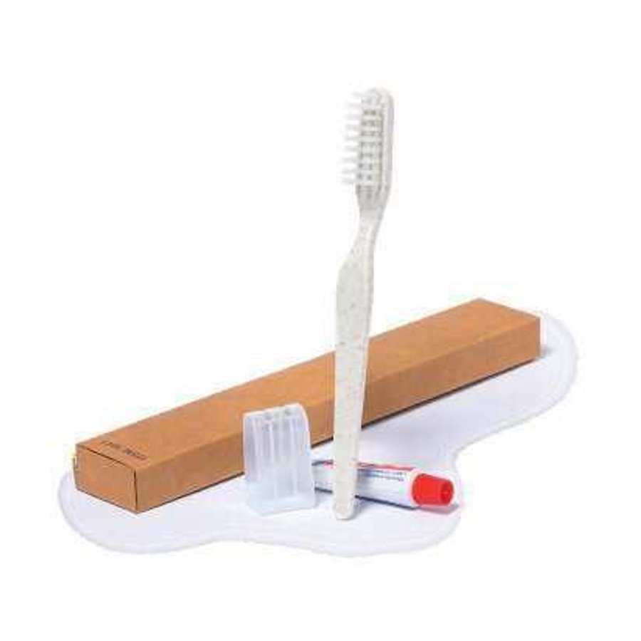 Dental Kit