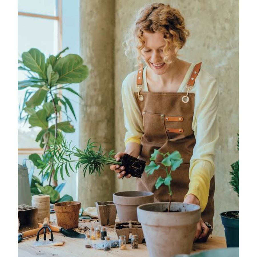 Pai Pai Plantable SEED
