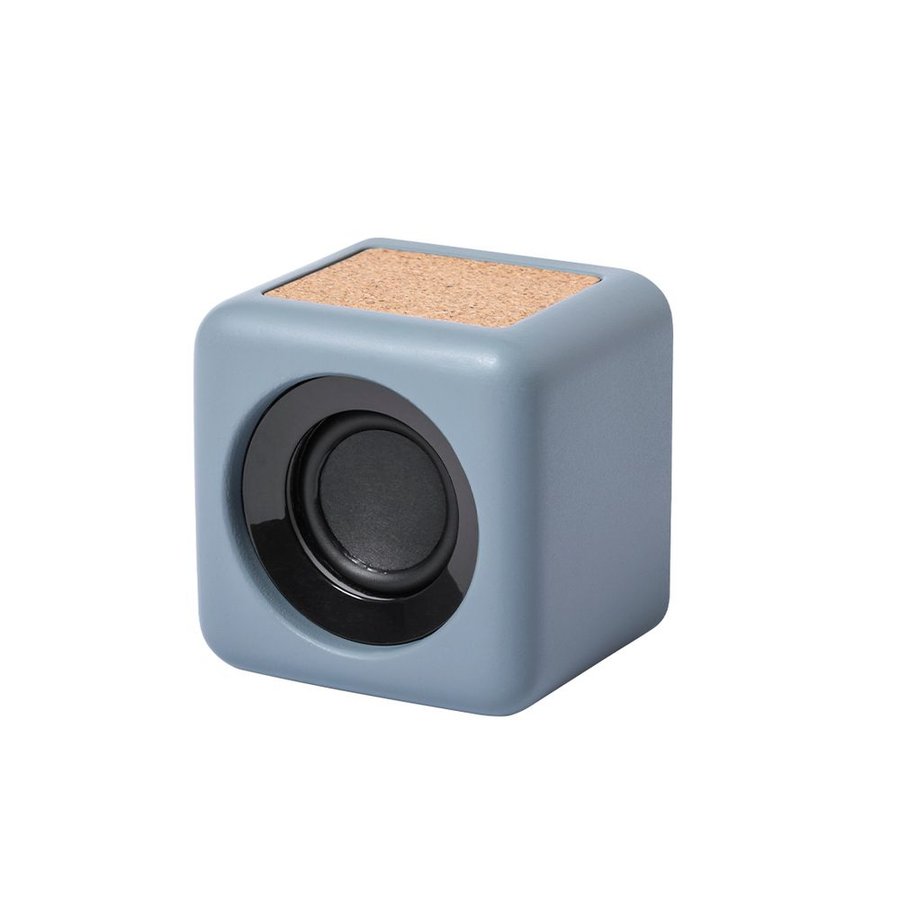 Altavoz Seynol