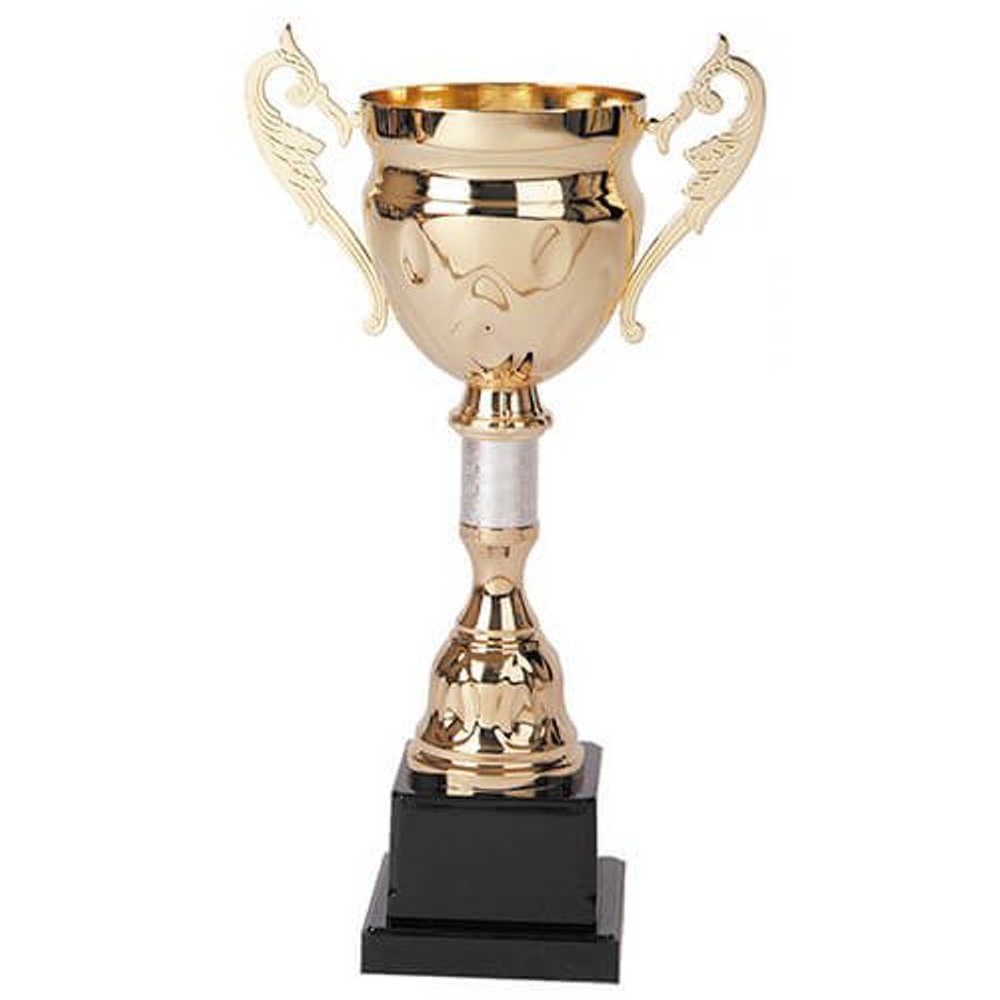 Copa 2001