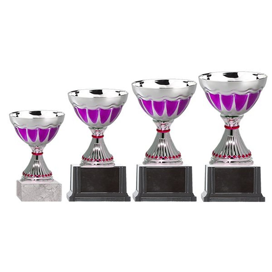 Copa BLAS 33