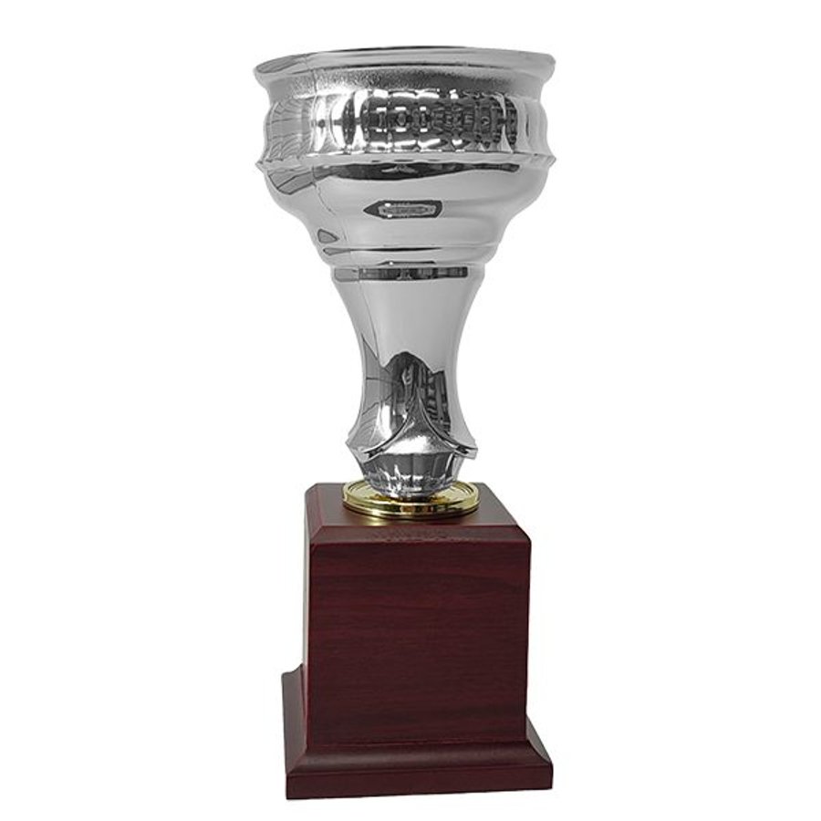 Copa CP22