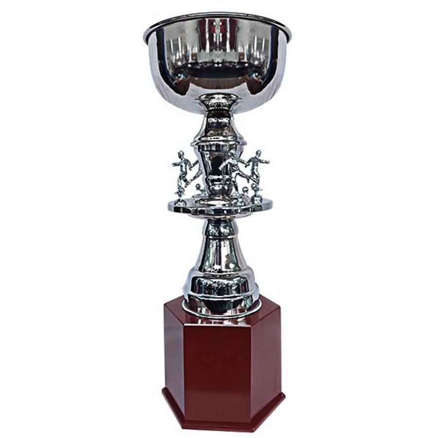 Copa Gran Campeón