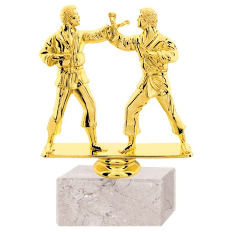 Trofeo Plástico Karate Doble RP-8095